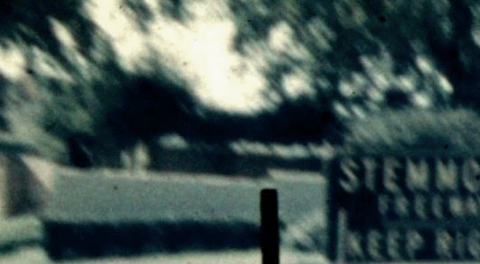 Willis_5_6