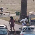 The Bondi Beach Mass Shootings